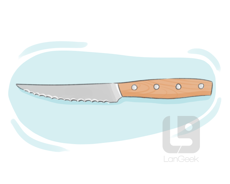 steak knife definition and meaning
