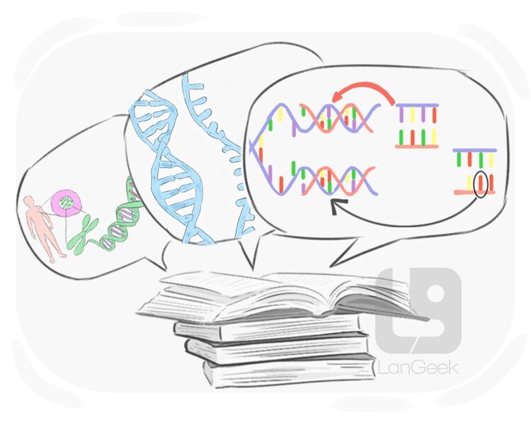 Definition meaning of genetic engineering langeek