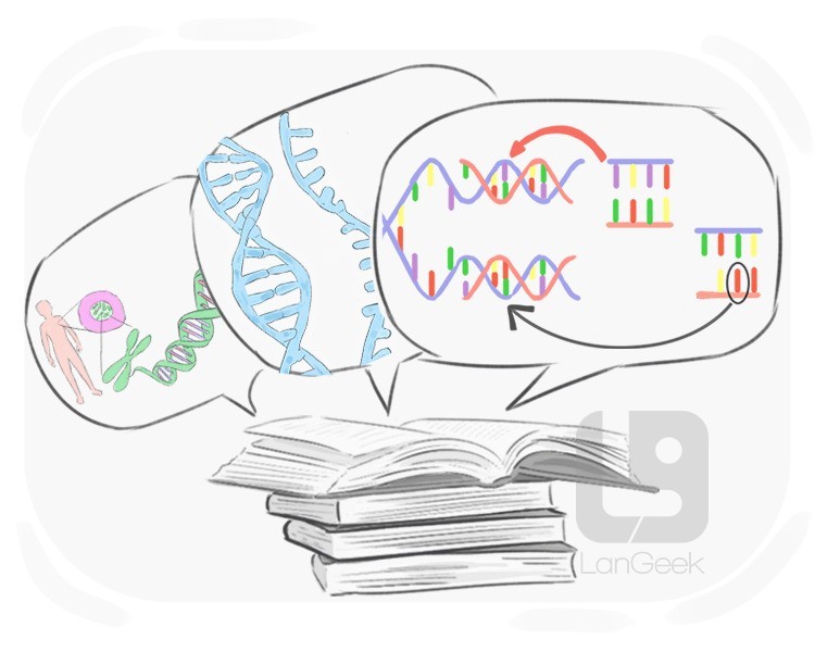 genetic engineering definition and meaning
