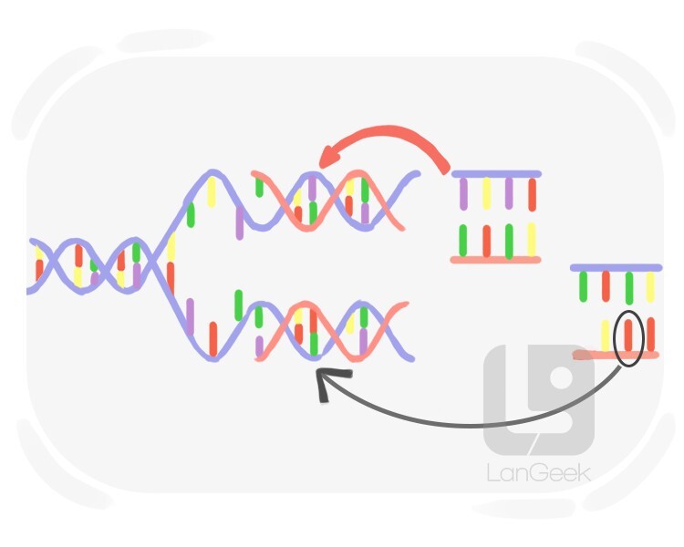 mutation definition and meaning