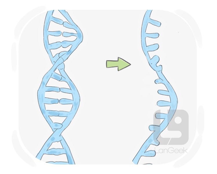 RNA definition and meaning