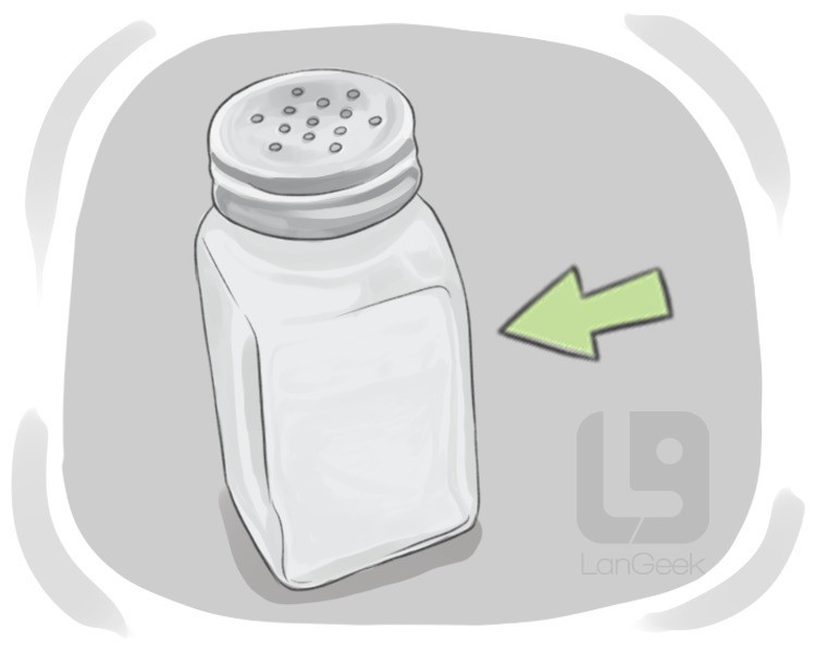salt shaker definition and meaning