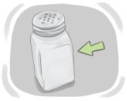 salt shaker