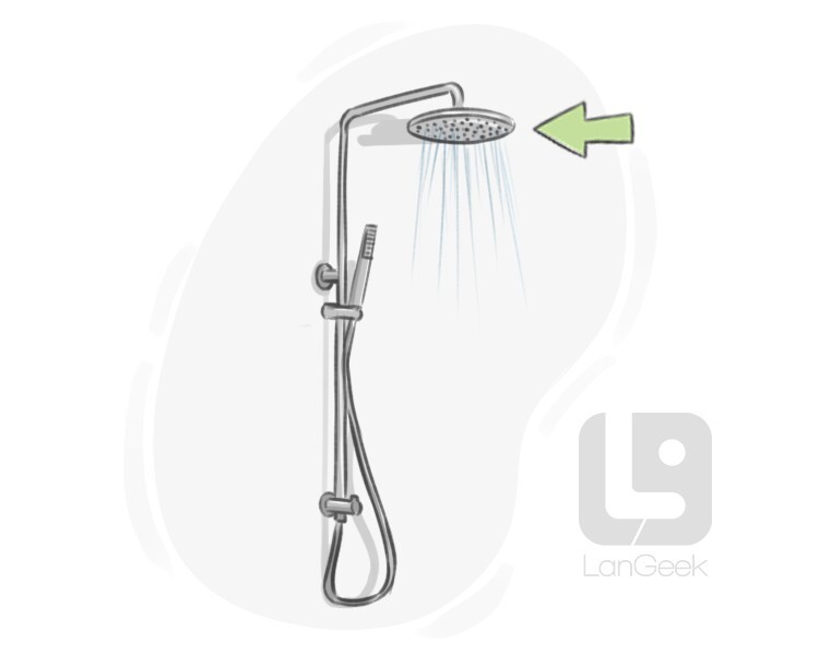 showerhead definition and meaning