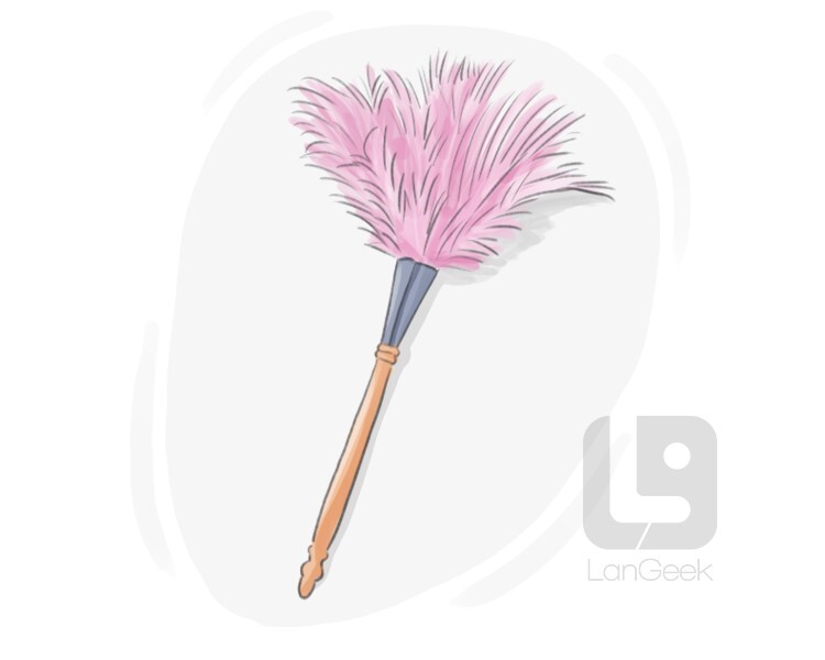 Definition & Meaning of "Feather duster" LanGeek