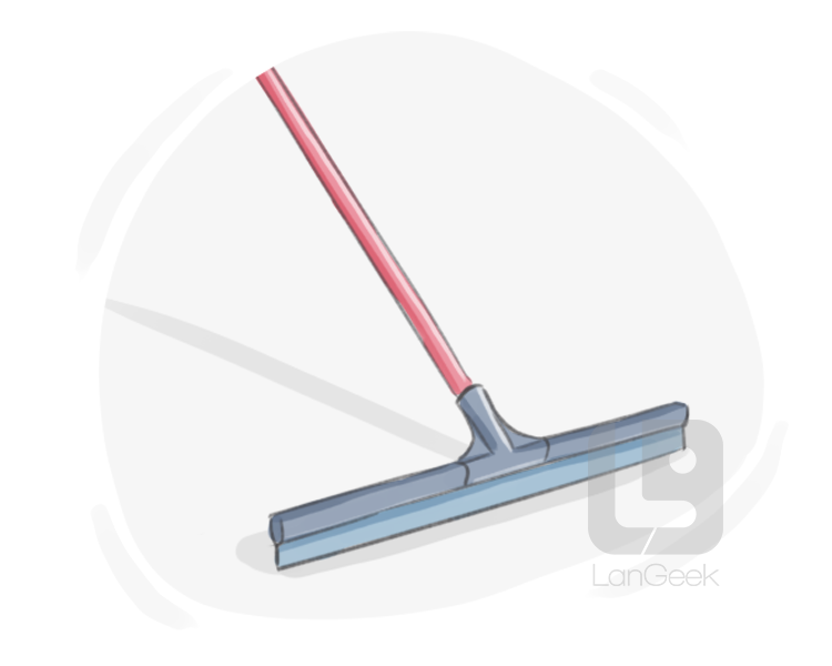squeegee definition and meaning
