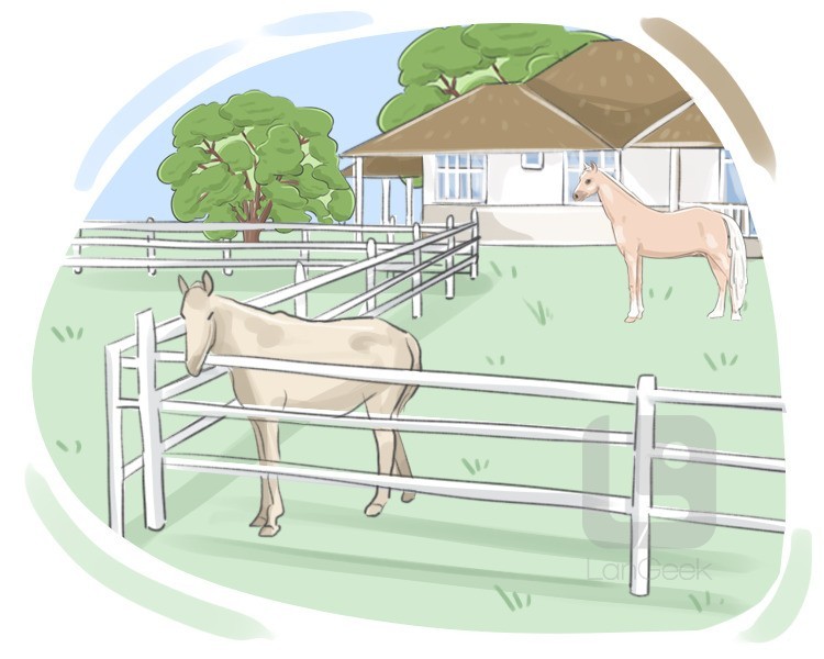 cattle farm definition and meaning