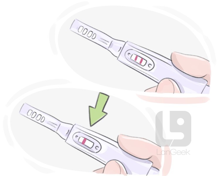 definition-meaning-of-negative-langeek