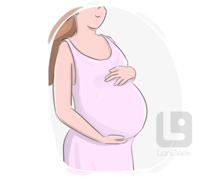 maternity dress definition and meaning