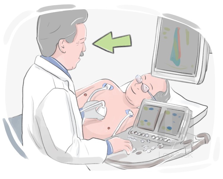 cardiologist definition and meaning