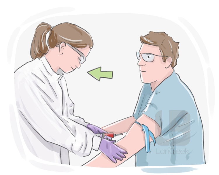 phlebotomist definition and meaning