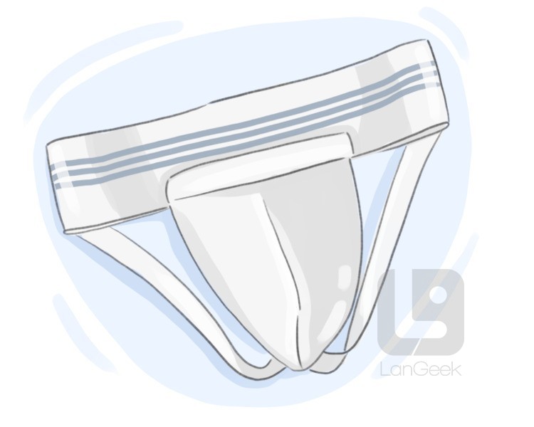 jockstrap definition and meaning