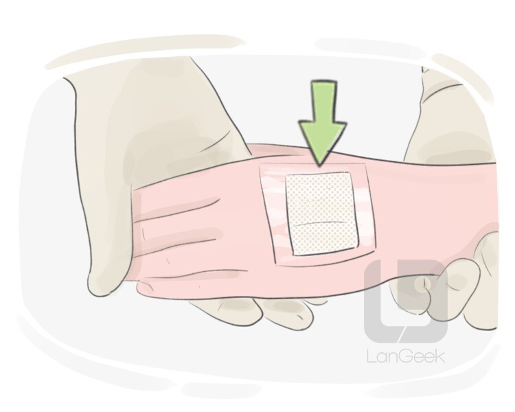 Definition meaning of sterile pad langeek