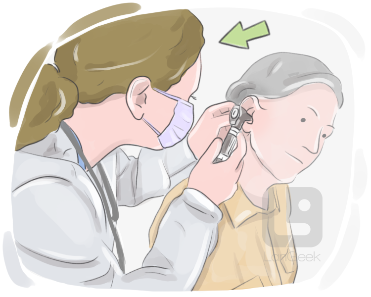 audiologist definition and meaning