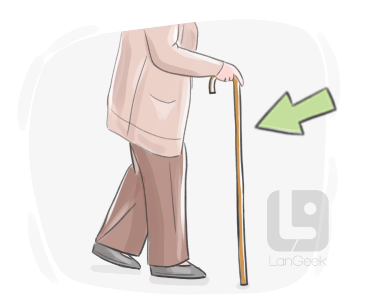 walking stick definition and meaning