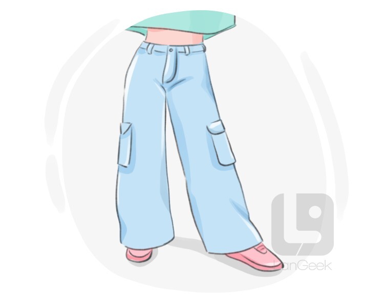 Definition & Meaning of Baggy pants