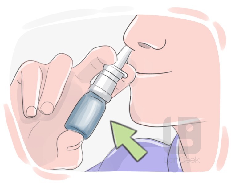 nasal spray definition and meaning