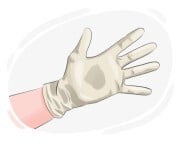 latex glove