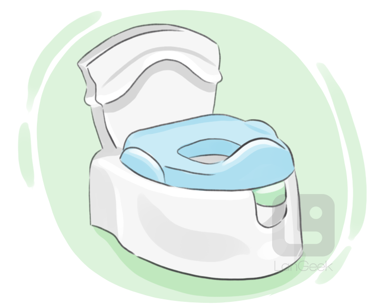 potty seat definition and meaning