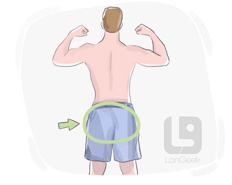 backside definition and meaning