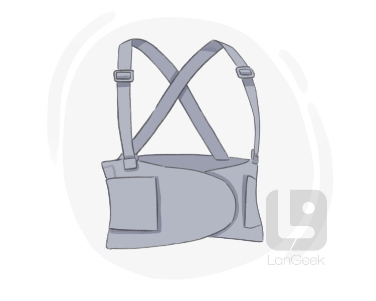 back support belt definition and meaning