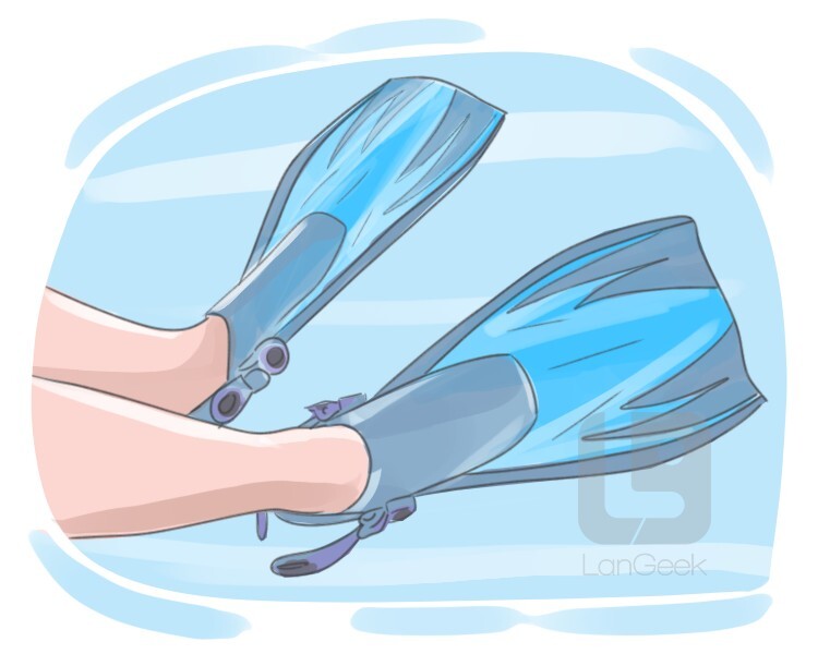 Definition & Meaning of "Fin" LanGeek