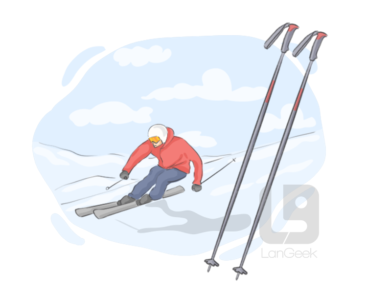 ski pole definition and meaning