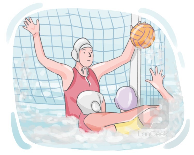 Definition & Meaning of "Water polo" LanGeek