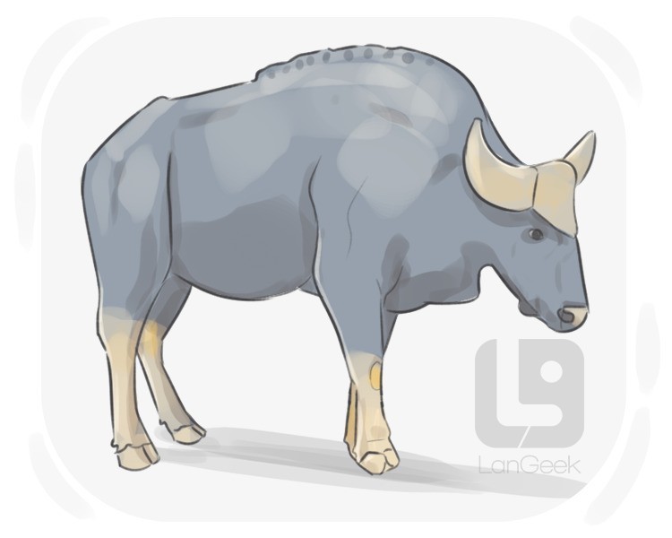 gaur definition and meaning