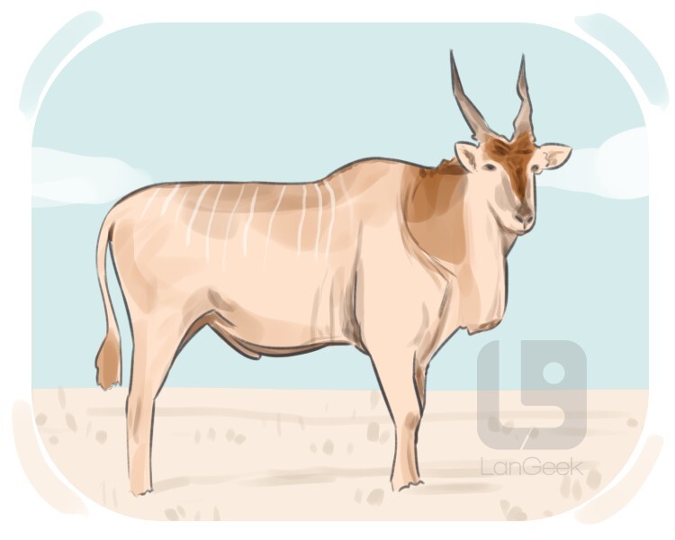 giant eland definition and meaning