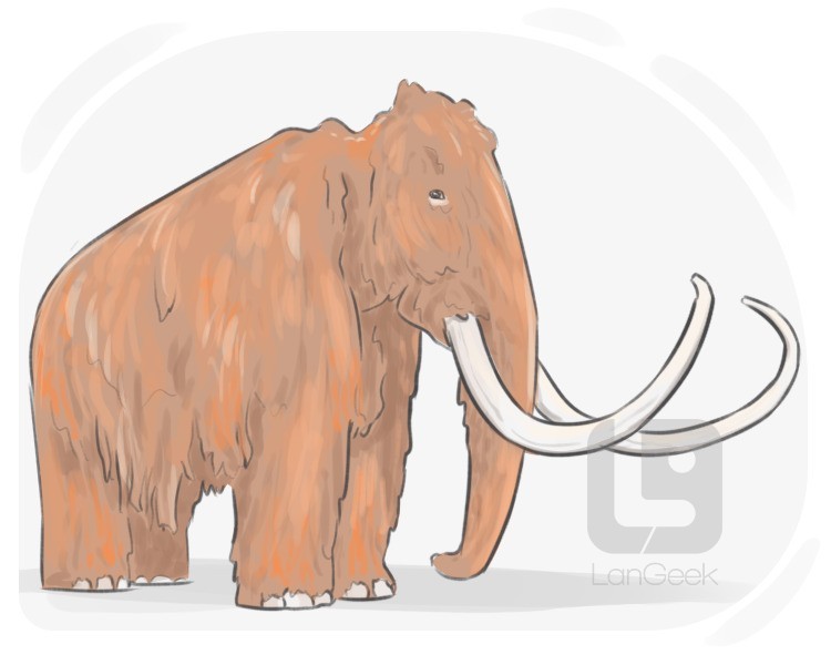 mammoth definition and meaning