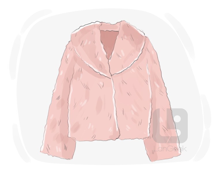 Definition & Meaning of "Fur coat" LanGeek