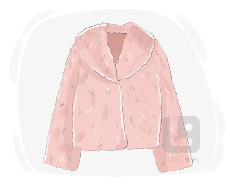 fur coat definition and meaning