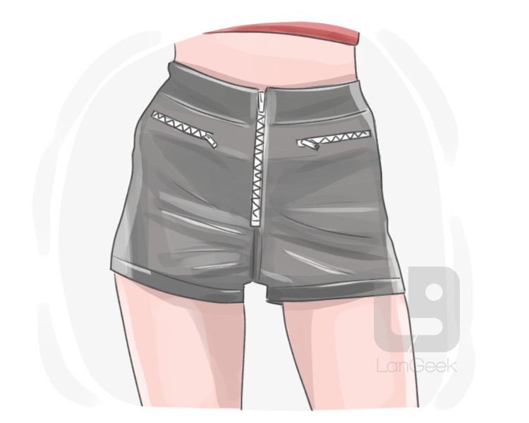 hot pants definition and meaning