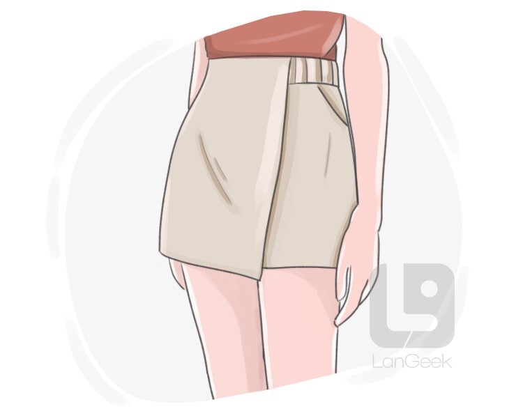 Definition & Meaning of Skort