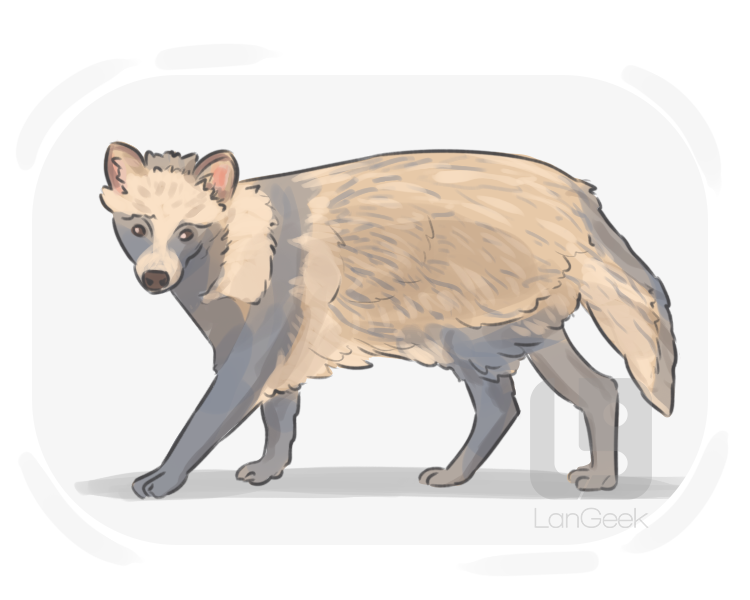 raccoon dog definition and meaning