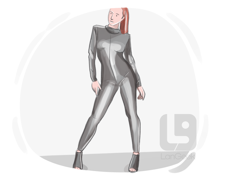 catsuit definition and meaning
