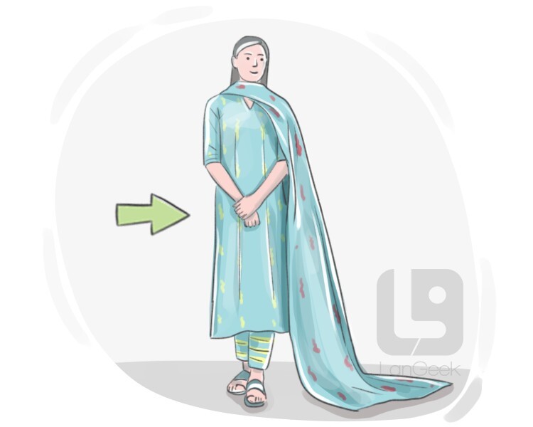 Definition & Meaning of "Kameez" LanGeek