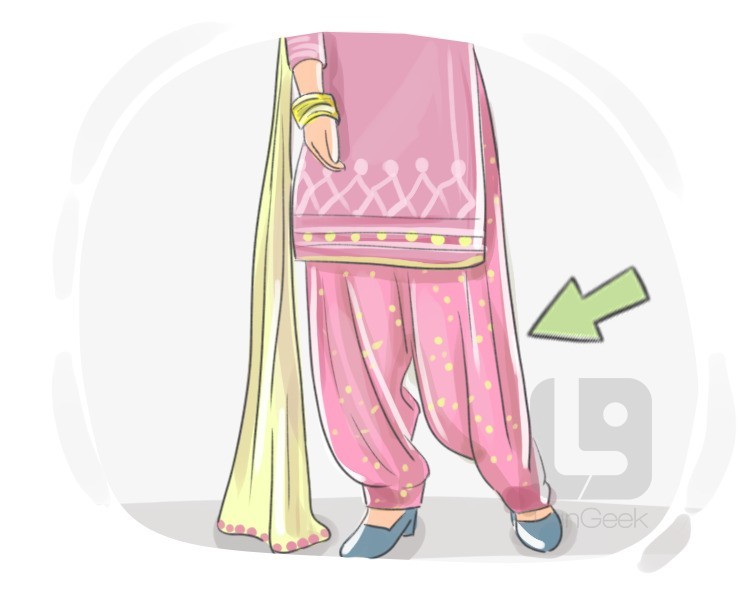 salwar definition and meaning