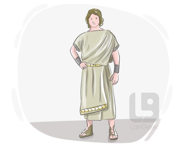 toga definition and meaning