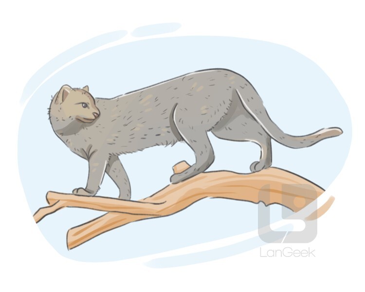 jaguarundi cat definition and meaning