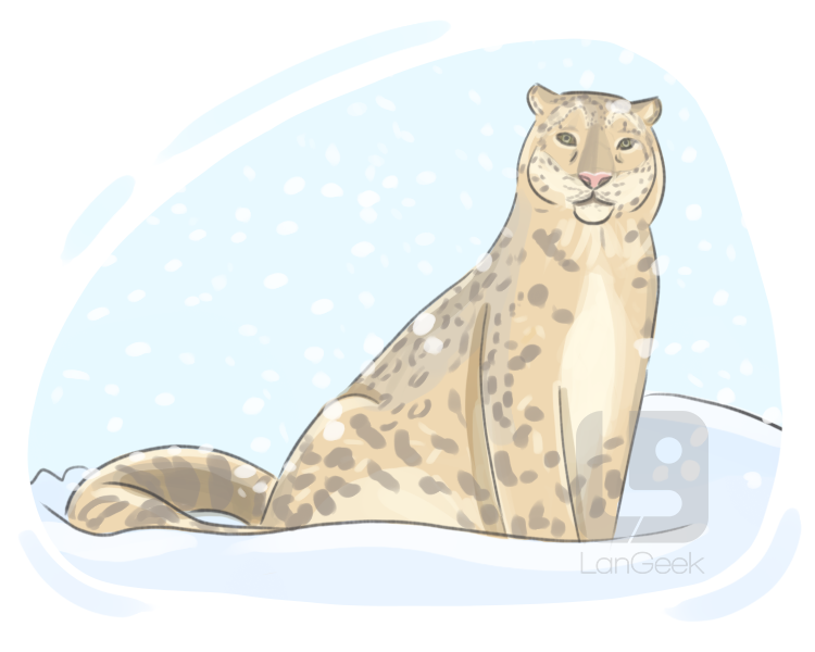 snow leopard definition and meaning