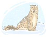 snow leopard
