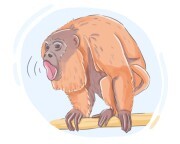 howler monkey