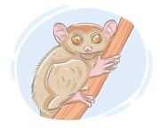 tarsier