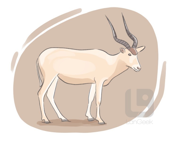 addax nasomaculatus definition and meaning