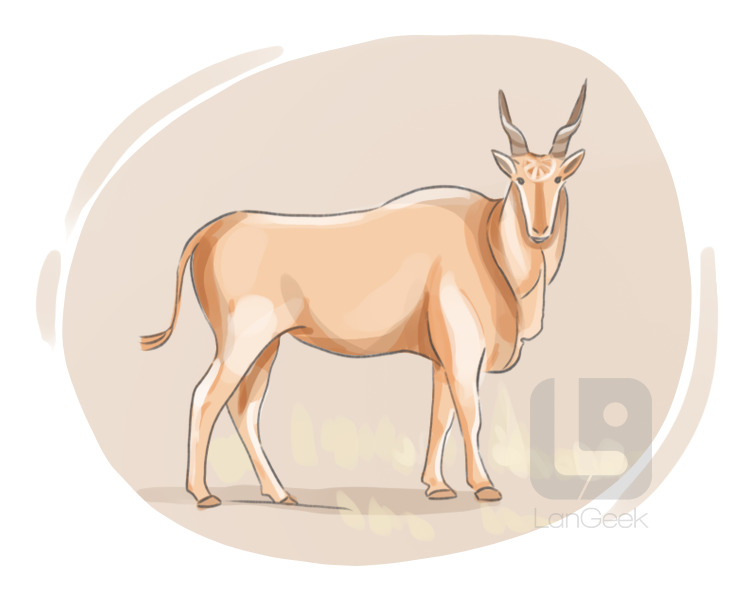 eland definition and meaning