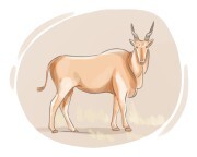 eland