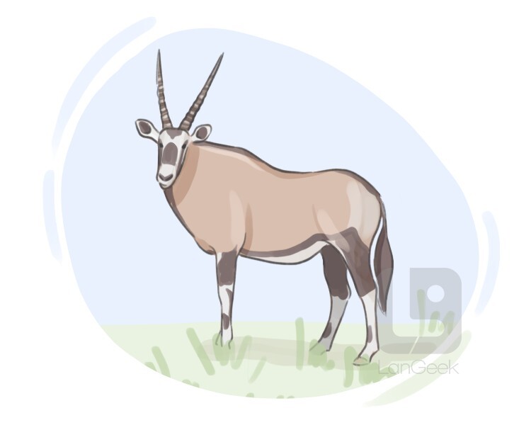 gemsbok definition and meaning