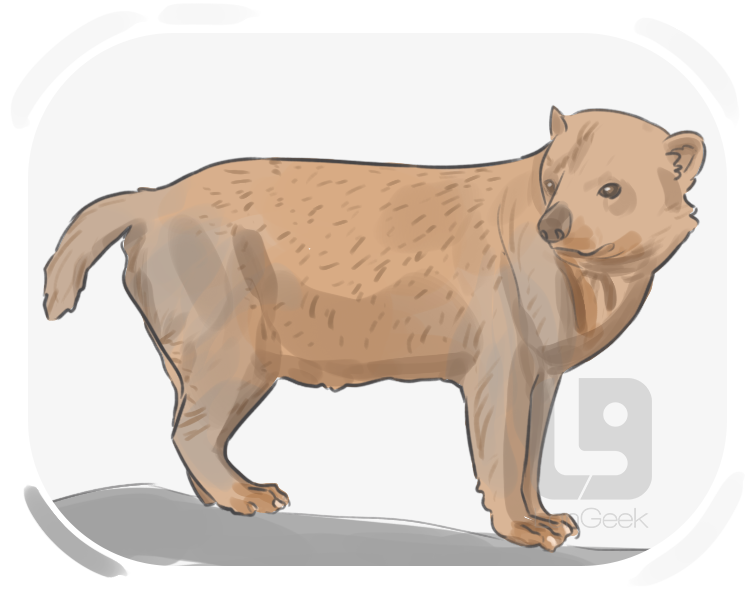 bush dog definition and meaning